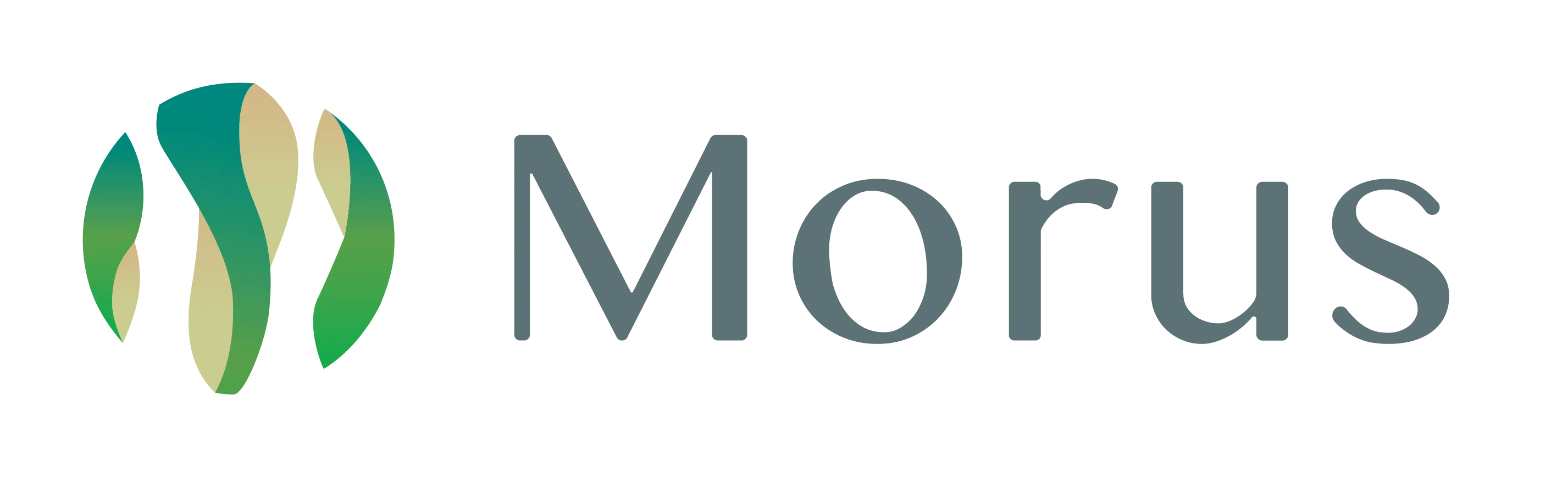 Morus株式会社のアイコン